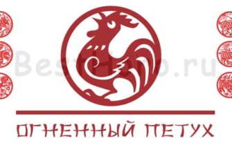 2017 год - красный огненный петых