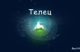 Телец