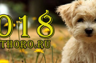 год собаки 2018