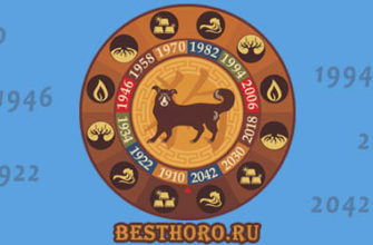 Рожденные в год собаки