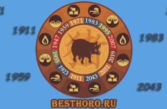 Характеристика людей, рожденных в год Свиньи