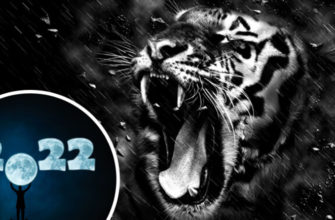 точный гороскоп на 2022 год